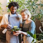 Essential Tips for Keeping Your Houseplants Healthy and Vibrant